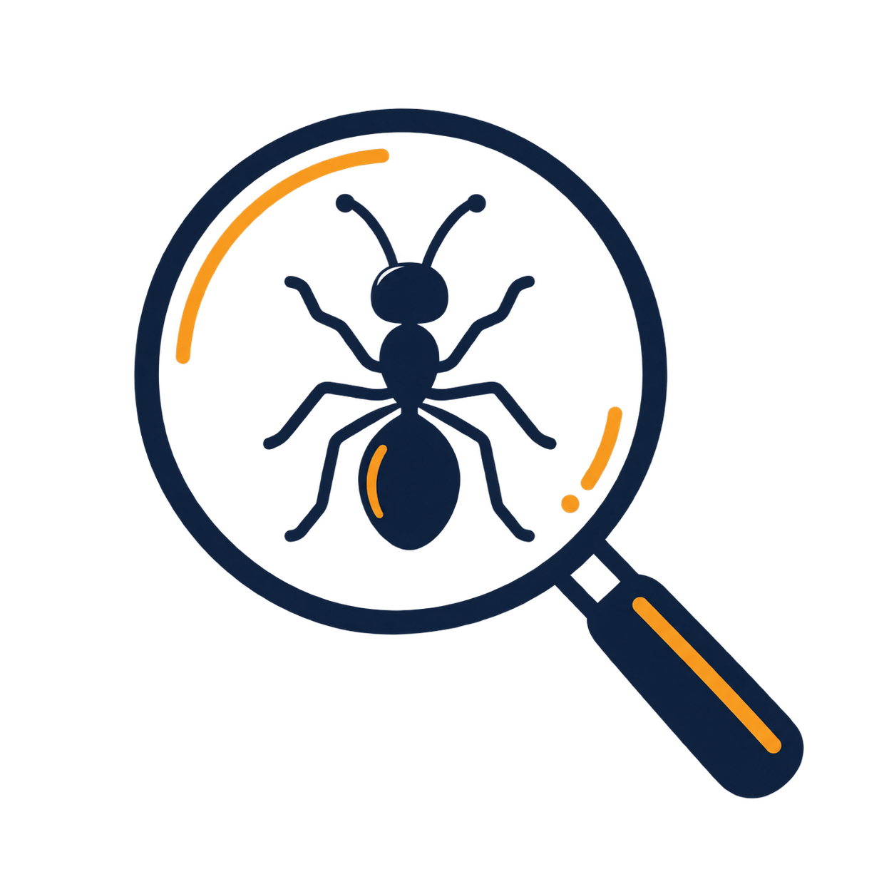Ant identification under magnifying glass