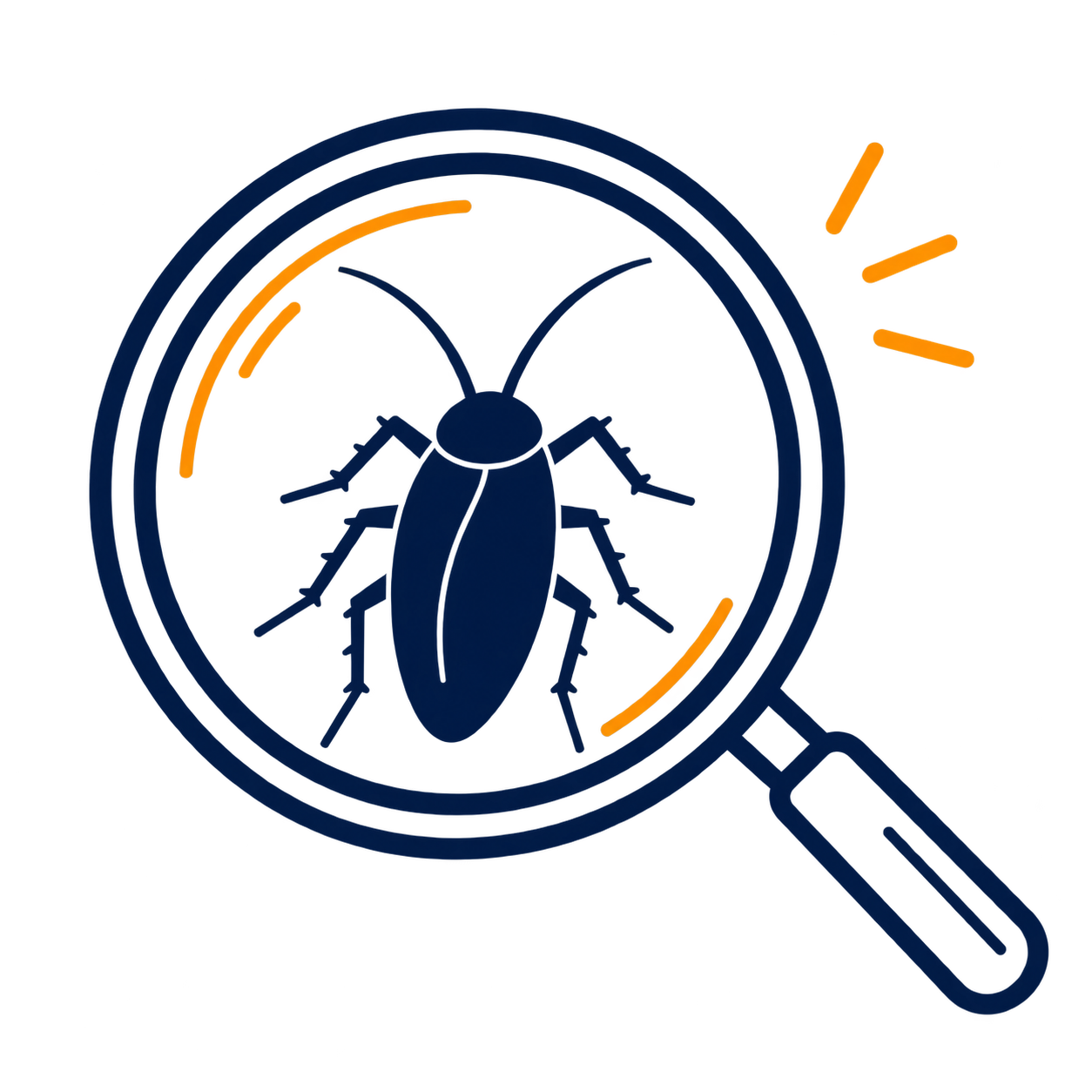Cockroach under magnifying glass