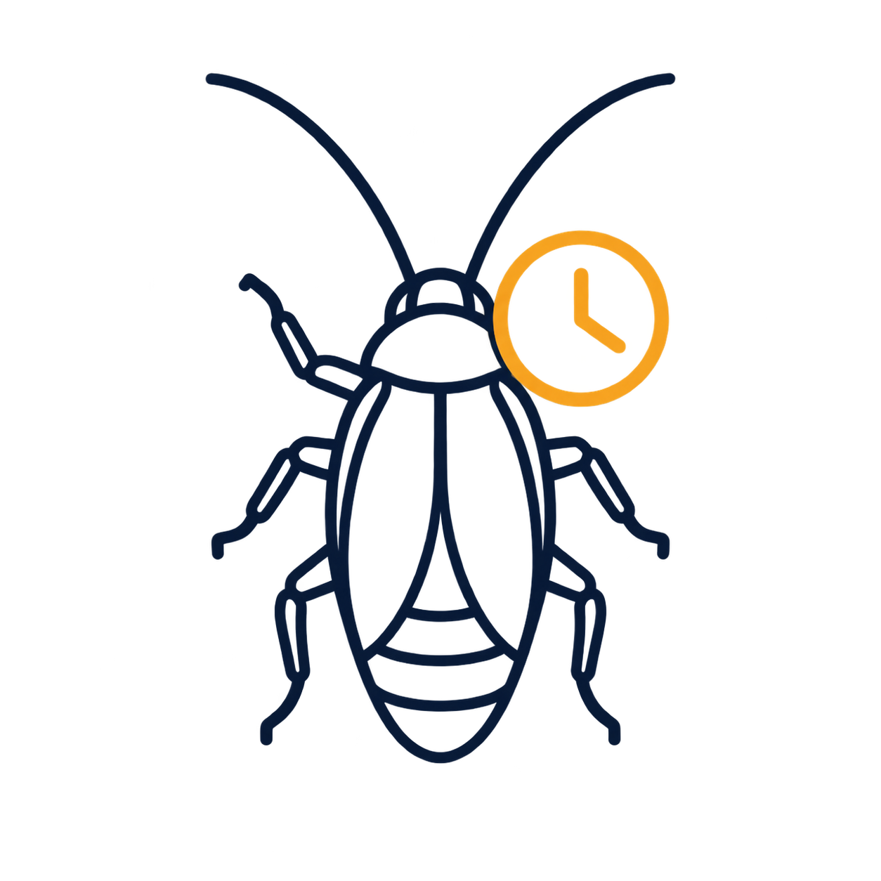 Cockroach sightings